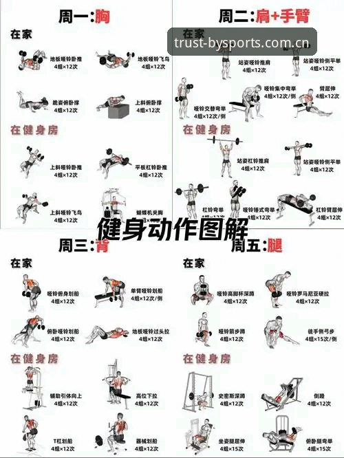 必一运动体验 掌握必一运动体验的实用技巧:新手入门必备知识