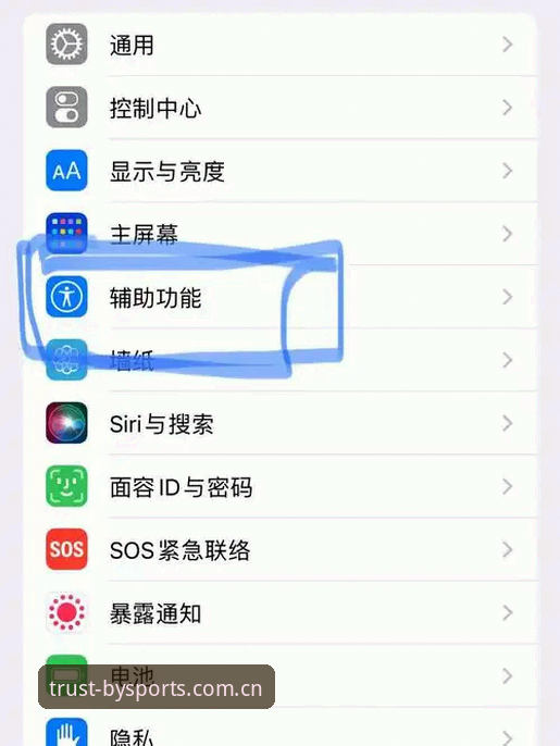 最新必一运动苹果版 最新必一运动苹果版使用教程:从下载到畅享体育娱乐的完整指南